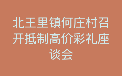 北王里镇何庄村召开抵制高价彩礼座谈会